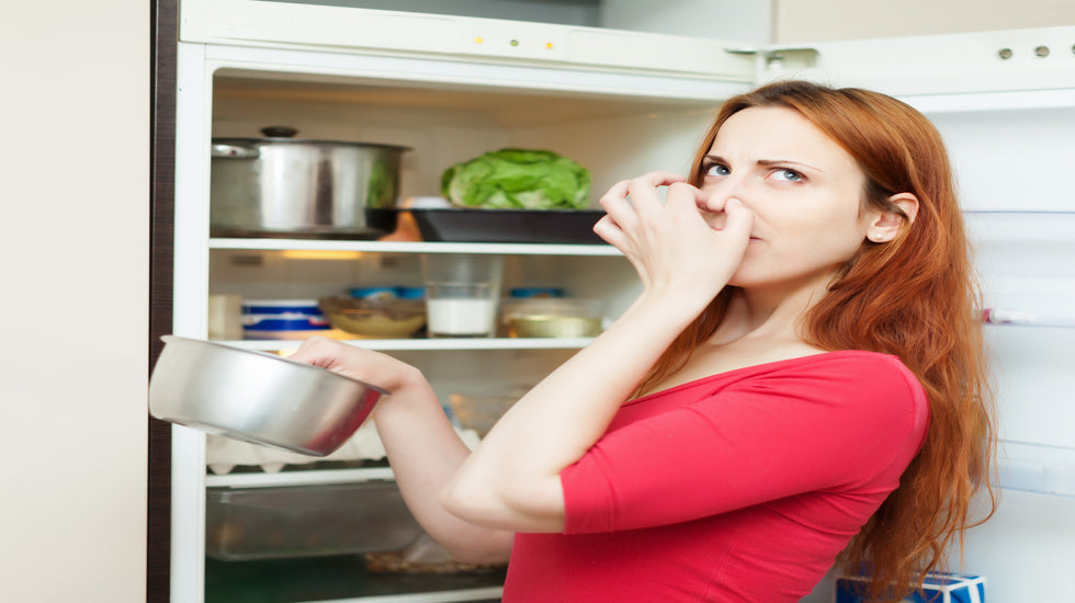 Tips for Dealing with a Smelly Refrigerator Alabama Appliance