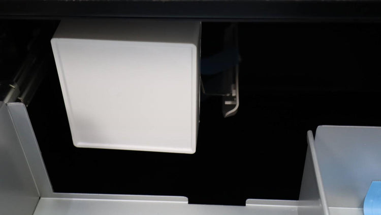 Thermador 24" Double Undercounter Freedom Collection PR Refrigerator T24UC905DP