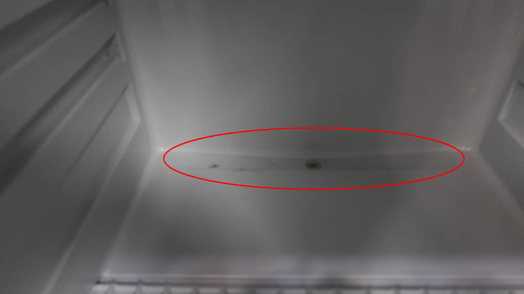 Broilchef Premium Stainless Steel 4.1 Cu.Ft. Outdoor Compact Refrigerator RF40D