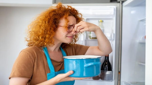 Tips for Dealing with a Smelly Refrigerator