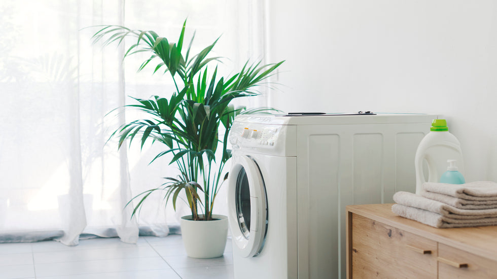 Types of Washing Machines: Exploring Our Range