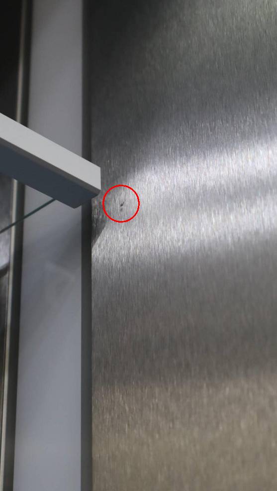 Thermador 36" Freedom Collection BuiltIn SS French Door Refrigerator T36BT120NS